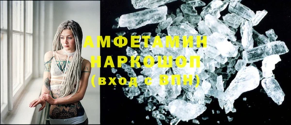 гидра Инсар