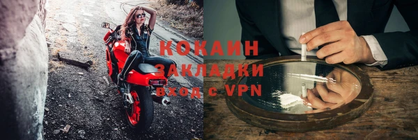 гидра Инсар