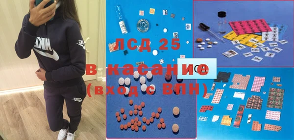 гидра Инсар