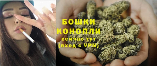 мяу мяу мука Инта