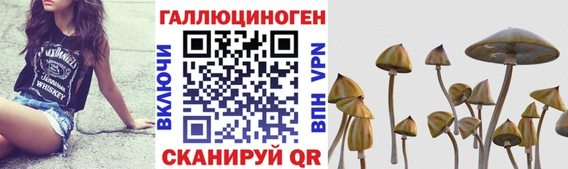 Купить  Зея  Псилоцибиновые грибы Magic Shrooms 
